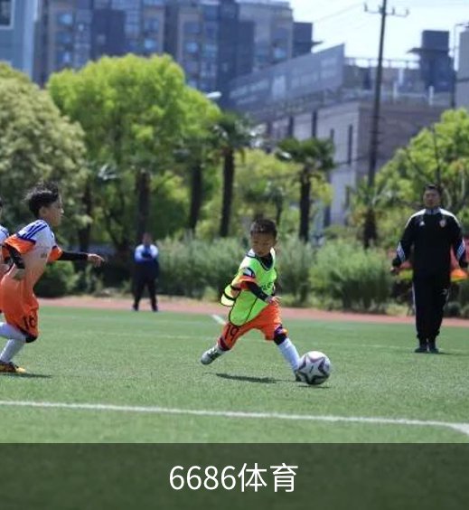 了解6686体育